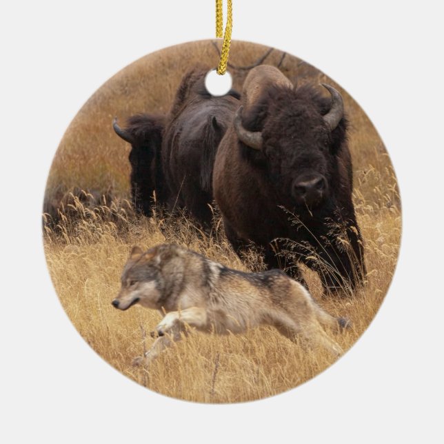 Bull Bison, Female, & Wolf Ceramic Tree Decoration (Front)