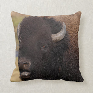 bull bison talking cushion
