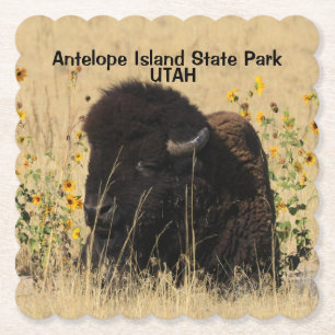 Bull Buffalo Antelope Island UTAH Paper Coaster