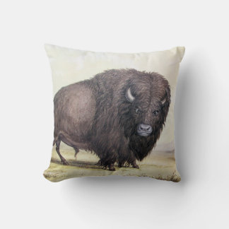 Bull Buffalo Cushion