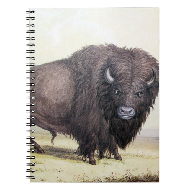 Bull Buffalo Notebook (Front)