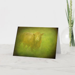 Bull Card