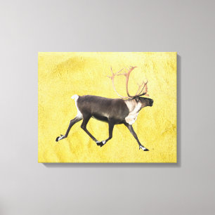 Bull Caribou Canvas Print