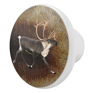 Bull Caribou (Reindeer) Ceramic Knob