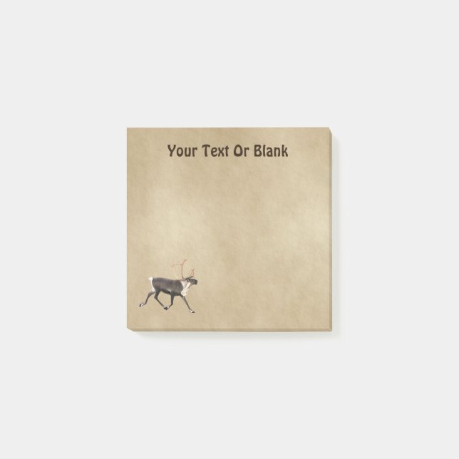 Bull Caribou (Reindeer) On Old Paper Post-it Notes (Front)