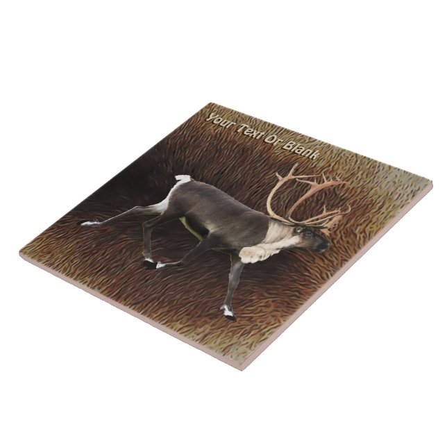 Bull Caribou (Reindeer) Tile (Side)