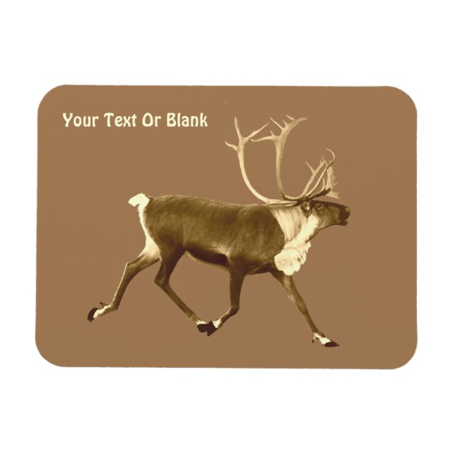 Bull Caribou - Sepia Magnet (Horizontal)