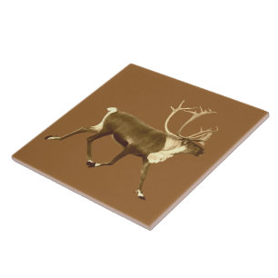 Bull Caribou - Sepia Tile