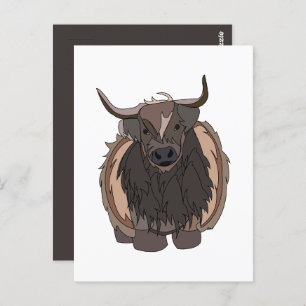Bull Cattle Bull Postcard