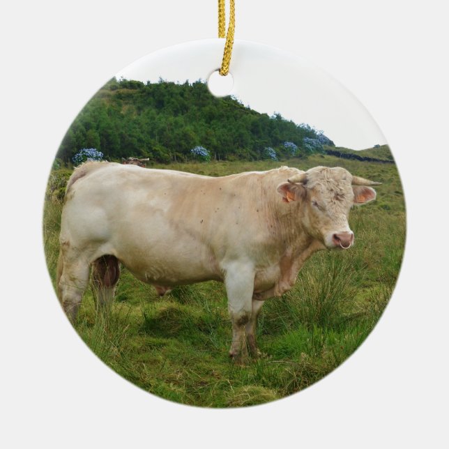 Bull Ceramic Tree Decoration (Front)