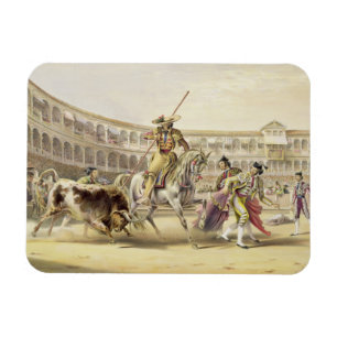 Bull Charging a Picador, 1865 (colour litho) Magnet