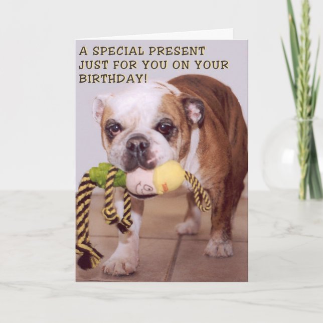 Bull dog birthday card (Front)