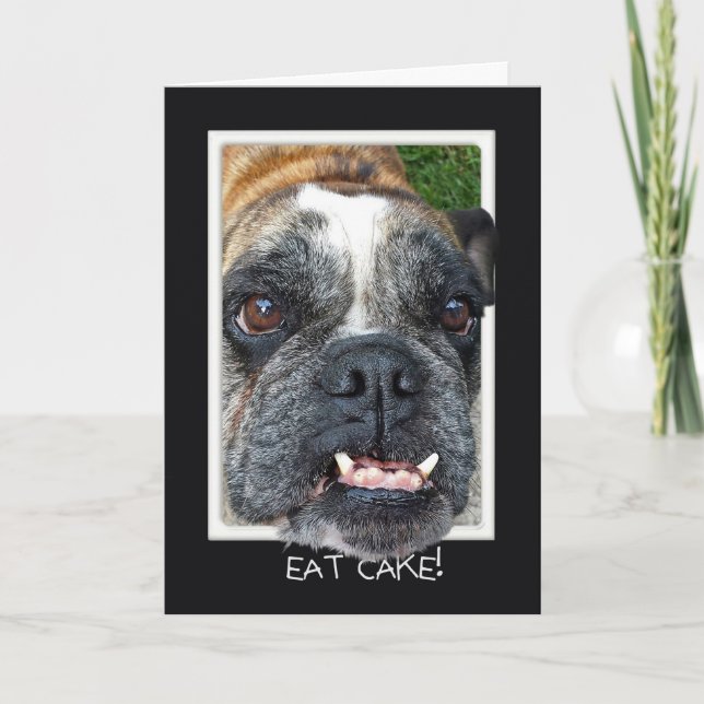 Bull Dog Birthday humour Card (Front)