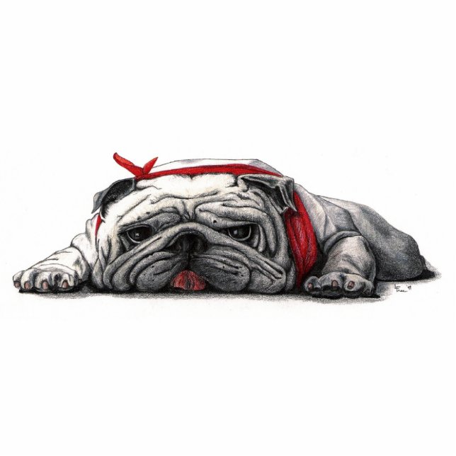 BULL DOG DESK BUDDY- Customised Standing Photo Sculpture (Front)