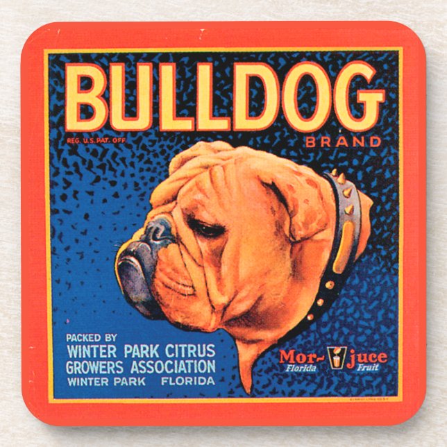Bull Dog on a Blue Background Coaster (Front)
