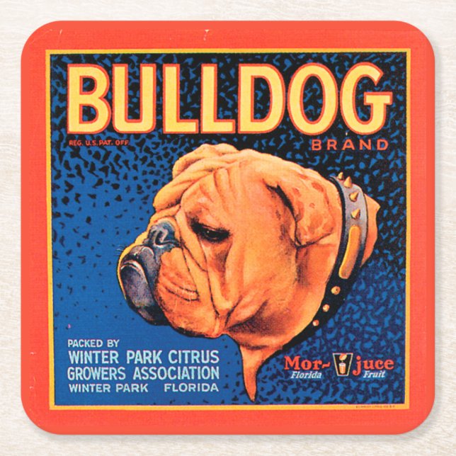 Bull Dog on a Blue Background Square Paper Coaster (Front)