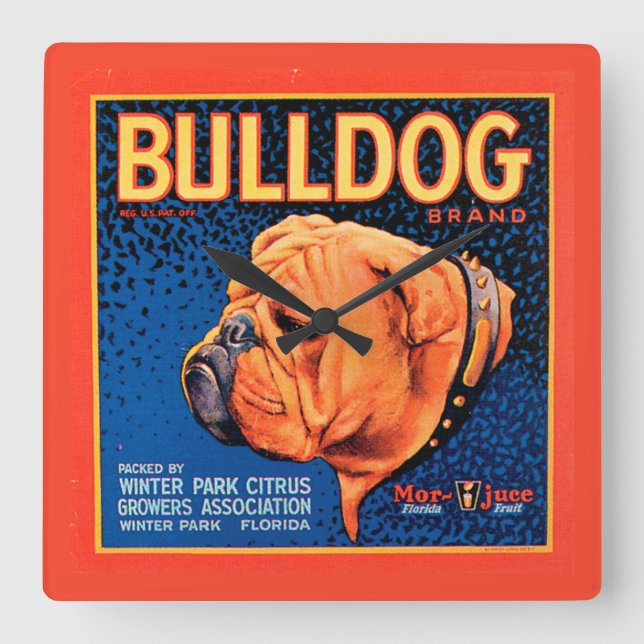 Bull Dog on a Blue Background Square Wall Clock (Front)