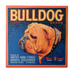 Bull Dog on a Blue Background Tile<br><div class="desc">A vintage crate label print illustrating a bulldog with a blue patterned background and an orange border. Choose this art print on your Zazzle product today.</div>