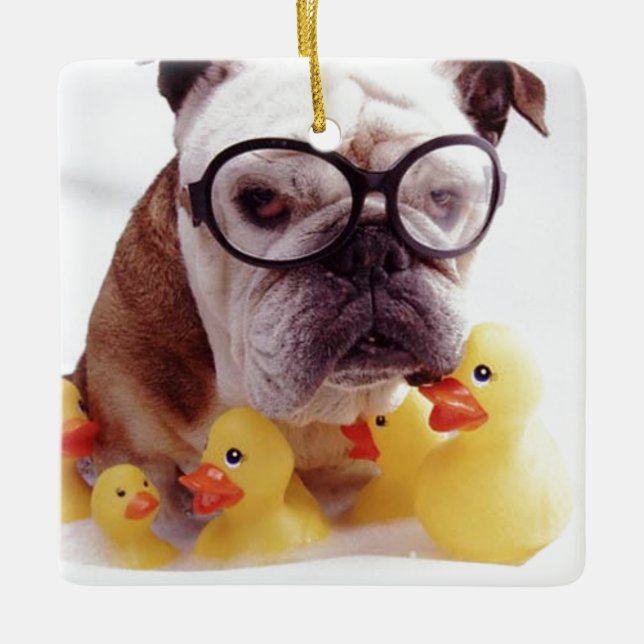 **BULL DOG WITH RUBBER DUCKS** CHRISMAS ORNAMENT (Front)
