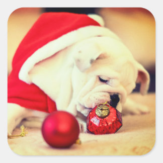 BULL DOG WITH Santa hat Square Sticker