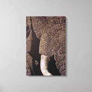 Bull Elephant Canvas Print