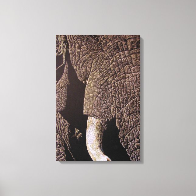 Bull Elephant Canvas Print (Front)