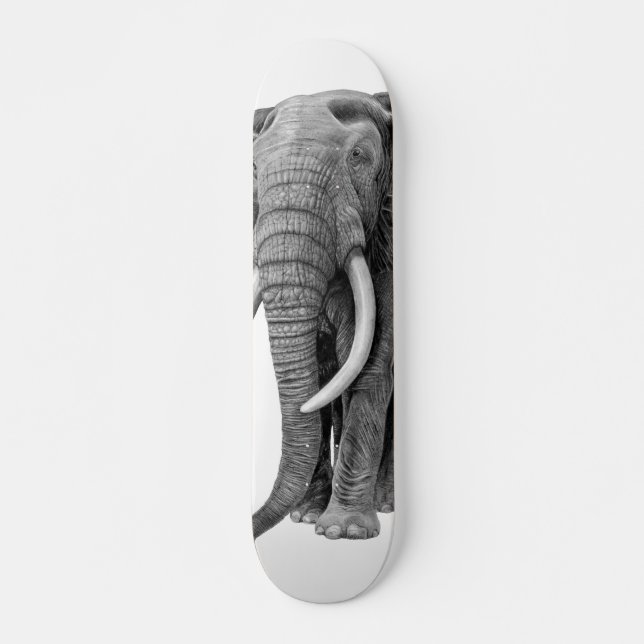 Bull elephant - Drawing in pencil Skateboard (Front)