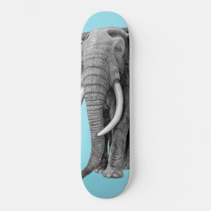Bull elephant - Drawing in pencil Skateboard