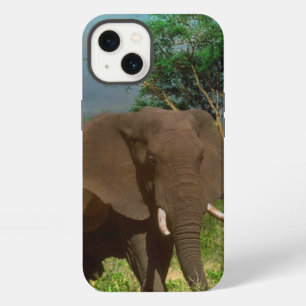 Bull Elephant, iPhone 13 Case
