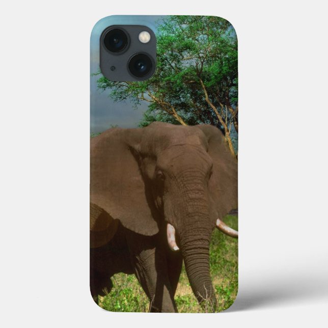 Bull Elephant, iPhone 13 Case (Back)