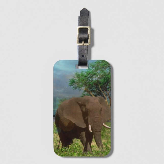 Bull Elephant, Luggage Tag (Front Vertical)
