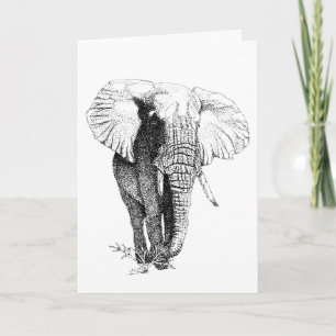 Bull Elephant  study Birthday Card