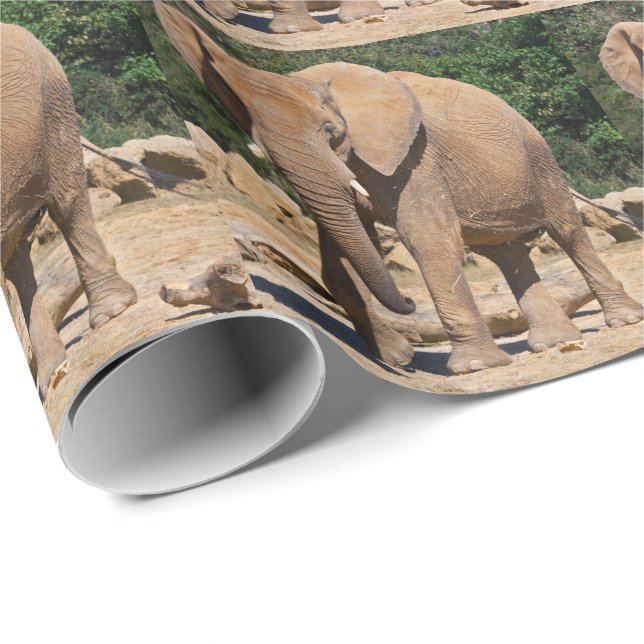 Bull Elephant Wrapping Paper (Roll Corner)
