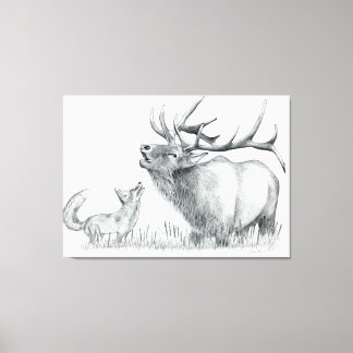 Bull Elk and Fox Canvas Print