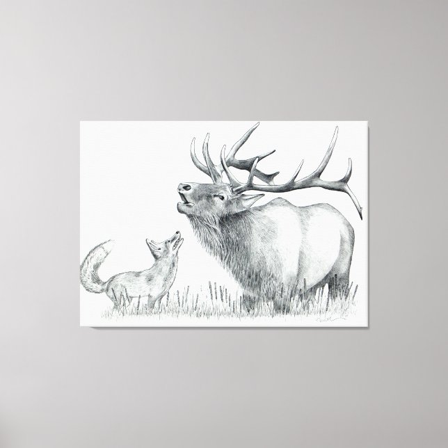 Bull Elk and Fox Canvas Print (Front)