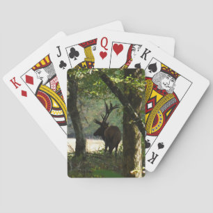 Bull Elk at wood edge Camouflage Playing Cards