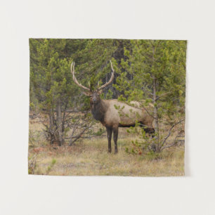 Bull Elk   At Yellowstone National Park Tapestry