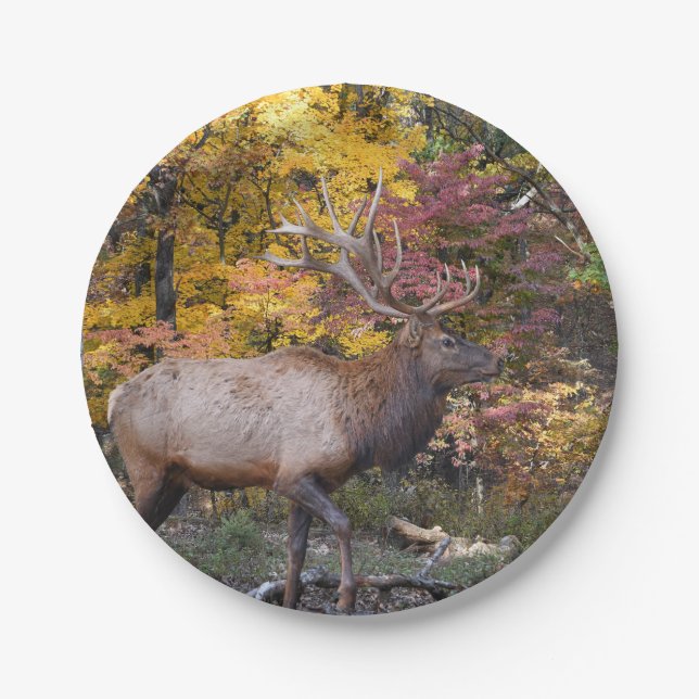 Bull Elk Autumn Woods Paper Plate (Front)