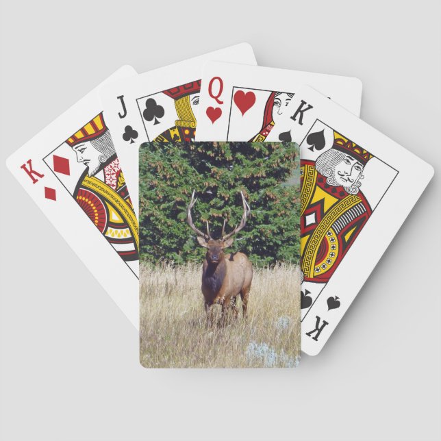 Bull Elk Bicycle Playing Cards (Back)