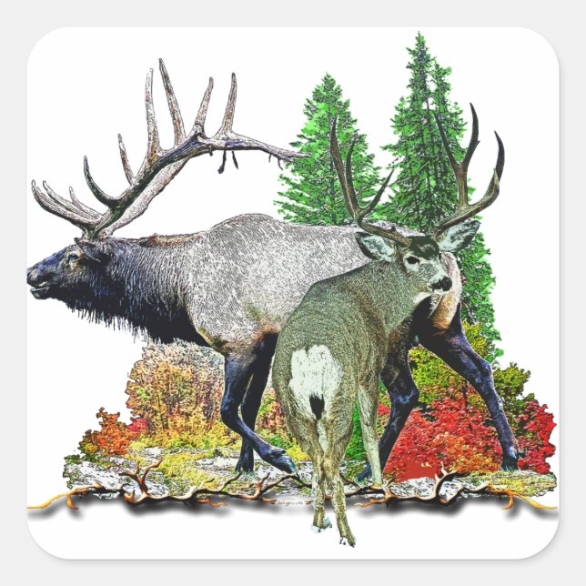 Bull elk  buck deer square sticker (Front)