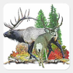 Bull elk buck deer square sticker