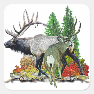 Bull elk buck deer square sticker