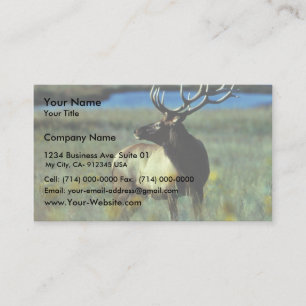 Bull elk business card