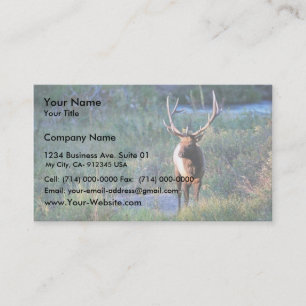 Bull Elk Business Card