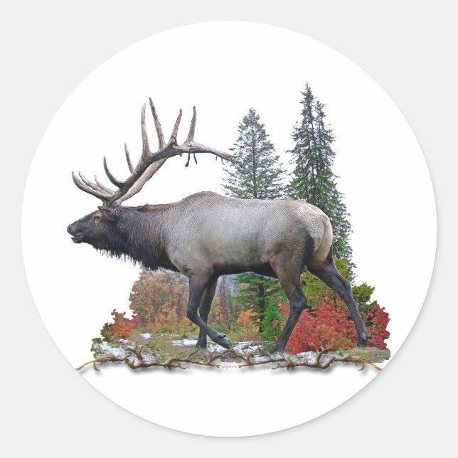 Bull Elk Classic Round Sticker (Front)