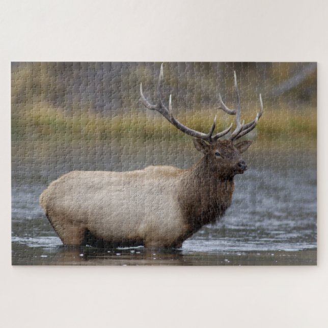 Bull Elk Crossing | Yellowstone National Park Jigsaw Puzzle (Horizontal)