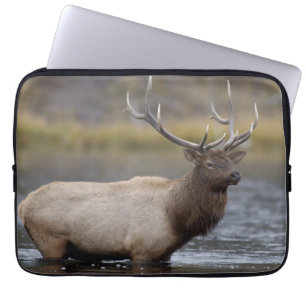 Bull Elk Crossing Yellowstone National Park Laptop Sleeve