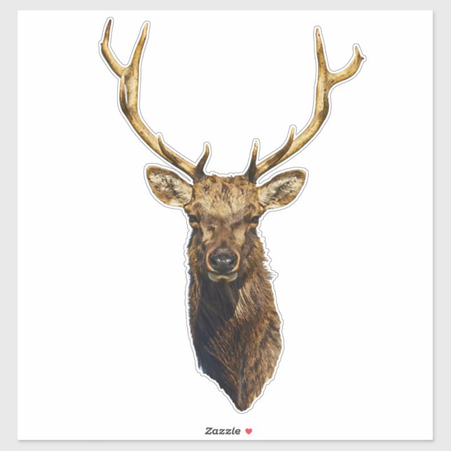 Bull Elk Head animal nature wildlife art    (Sheet)