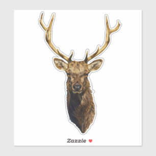 Bull Elk Head animal nature wildlife art   