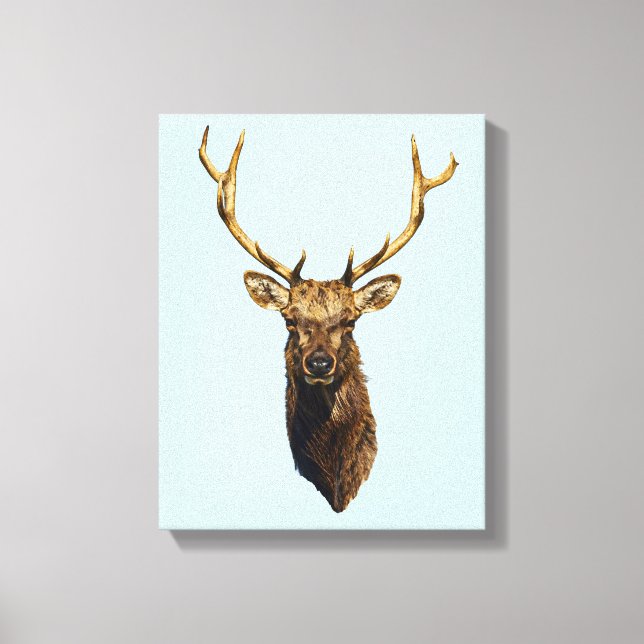 Bull Elk Head animal nature wildlife art    Canvas Print (Front)